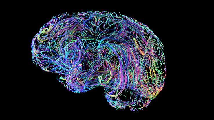 colorful brain.jpg